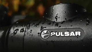 Охота на кабана в снегопад с прицелом Pulsar Digex N455 дистанция 105 метров