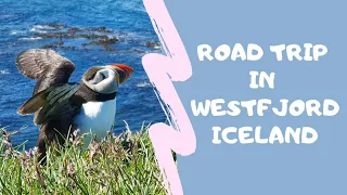 Road tripping through Westfjords, the most beautiful region of Iceland | Best places to visit