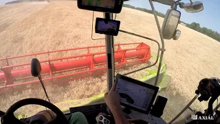 CLAAS LEXION 6900 Durumbúza aratás VLOG