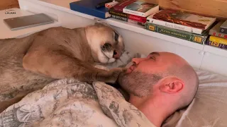Cougar Messi tries to wake up Sasha