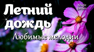 Саксофон - Летний дождь. Любимые мелодии... Музыка - Игорь Тальков. Саксофонист - Игорь Кружалин.