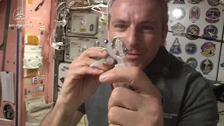 Behaviour of water in microgravity