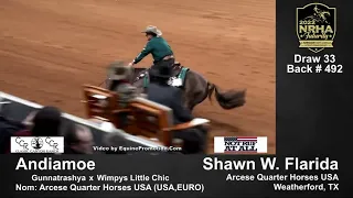 NRHA 2022 Reining Futurity in Oklahoma  🐴 Andiamoe  🇺🇸 Shawn Flarida… 230 (Champions 🏆 Open Lev.4)