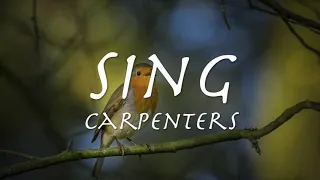 SING - Carpenters 【和訳】カーペンターズ「スｲング」1973年