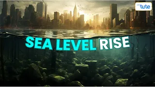 Sea Level Rise: Causes & Effects | Understanding the Impact of Climate Change | Letstute