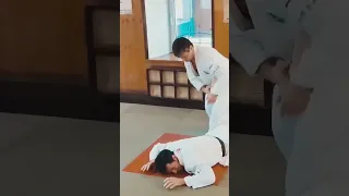 Работа против ударов ногами в Айкибудо#aikibudo #aikido #aikijujutsu #martialarts #karate  #daitoryu