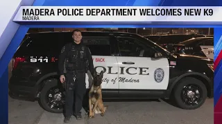 Madera Police Department Welcomes New K9