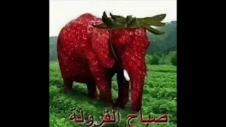 The Elephant Never Forgets - Low Quality