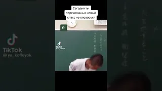 Мемы по ТикТоку #558