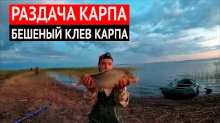 Раздача КАРПА! Бешеный Клев КАРПА! оз. УЗЫНКОЛЬ