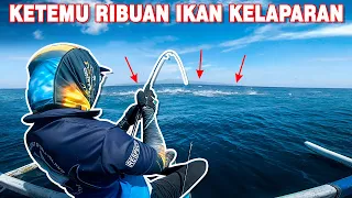 KEJADIAN LANGKA! KETEMU RIBUAN ROMBONGAN IKAN SAAT MANCING | MANCING  DI LAUT DAPAT IKAN BESAR