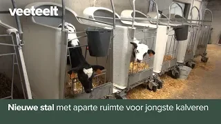 Nieuwe stal met aparte ruimte voor jongste kalveren