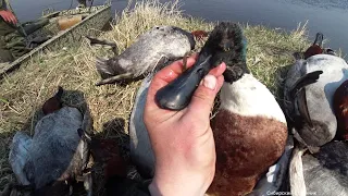 Охота на селезня в Сибири.Болотоход не перестает удивлять.