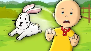 Caillou's Bunny | Caillou | Cartoons for Kids | WildBrain Little Jobs