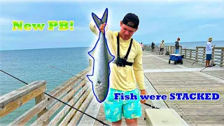 Catching HUGE Fish from Jacksonville Pier! (Catch N Cook)