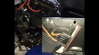 Screamin Eagle 10mm Phat Spark Plug Wires Review and Install