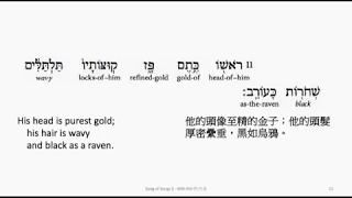 Song of Songs 5: Hebrew interlinear audio Bible 希伯來文聖經:雅歌第五章