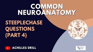 CORONAL SECTION of the Brain ||Common NEUROANATOMY STEEPLECHASE Questions (PART 4)