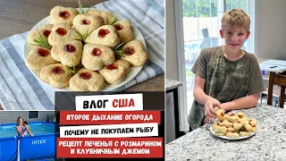 Второе Дыхание Огорода | Почему не Покупаем Рыбу | Рецепт Печенья с Розмарином | Наша Жизнь в Штатах