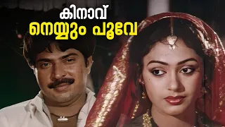 Kinaavu Neyyum  Video Song  | Naalkkavala | KS Chithra