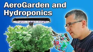 AeroGarden and Hydroponics: Grow Fresh Veg All Year Round!