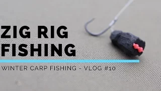 CARP FISHING IN WINTER  – ZIG RIGS - VLOG #10