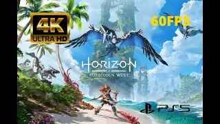 Horizon Forbidden West Menu Theme (Aloy's Theme) *EXTENDED*