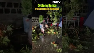 Cyclone Remal: Trees Uprooted In Garo Hills, Meghalaya