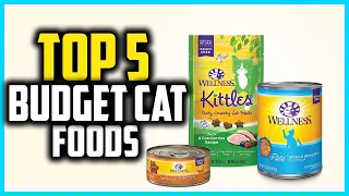 ✅Top 5 Best Budget Cat Foods in 2024