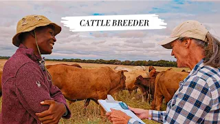 Inside Anne Cooke's Cattle Farm. How She Became a Famous Tuli Stud Breeder