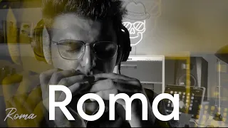 Roma Vicente Amigo Harmonica cover by Hooman