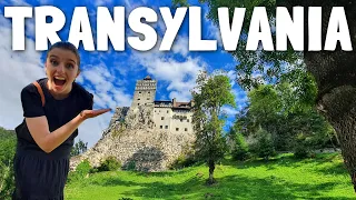 🇷🇴 BRAN CASTLE & LIBEARTY BEAR SANCTUARY (Transylvania, Romania)