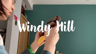 kalimba• Windy Hill 拇指琴•Windy Hill