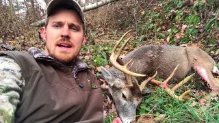 2017 Ohio Whitetail Archery Buck | OutdoorMediaCo.