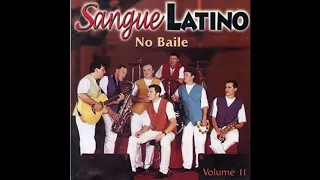 SANGUE LATINO VOL.11 CD NO BAILE AO VIVO (completo)