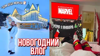 НОВОГОДНИЙ ВЛОГ🥳🎄 1 ЯНВАРЯ! УЕХАЛИ В ДОМ ДЕДА МОРОЗА 🎅🏻