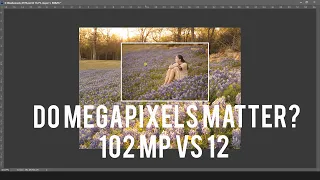 102 megapixels vs 12 : Do megapixels matter?