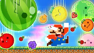 Super Mario Bros. New Challenger: Mario vs Watermelon (SUIKA) | Game Animation