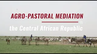 Agro-pastoral mediation in Central African Republic