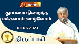 🔴 LIVE 03 JUNE 2023 Holy Mass in Tamil 06:00 PM (Evening Mass) | Madha TV
