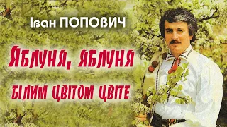 Іван Попович - Яблуня, яблуня білим цвітом цвіте (Art Video)