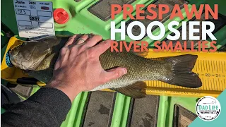 Prespawn Indiana Smallmouth Bass River Fishing