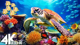 Ocean 4K - Sea Animals for Relaxation, Beautiful Coral Reef Fish in Aquarium - 4K Video Ultra HD #66