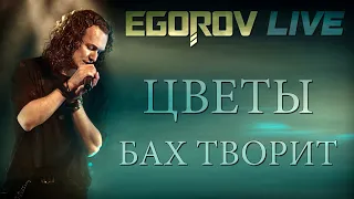 EGOROV (Евгений Егоров) - Бах творит ("Цветы" cover). Live. Жаркий летний концерт, Москва, 12.06.21.