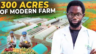 He Built a farm that's making young people rich in Nigeria