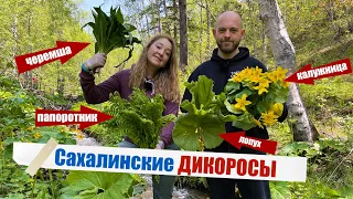 ЛОПУХ, ПАПОРОТНИК, ЧЕРЕМША! Собираем и готовим сахалинские дикоросы!