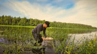 Visas ŠLAPIAS, bet laimingas. Nemunas ir Šapalų nerštas. Žūklė vobleriais upėje.