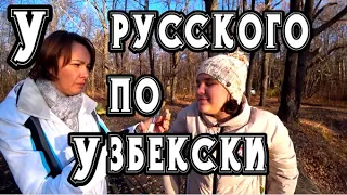 ПЛОВ УЗБЕКСКИЙ В КАЗАНЕ НА КОСТРЕ (для новичков самый простой способ). Подробный, пошаговый рецепт!