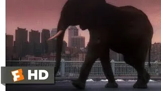 12 Monkeys (10/10) Movie CLIP - Zoo Animals Run Free (1995) HD