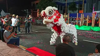 Penang Chingay Acrobatic Lion Dance